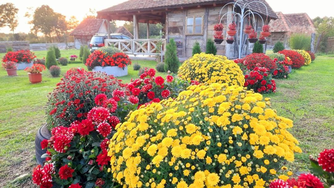 Etno selo EDEN Otel Zeravacki Potok Dış mekan fotoğraf